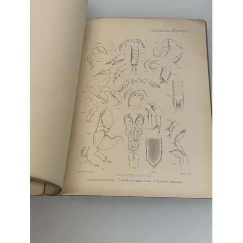 25 - A C19th and a C 20th  illustrated Zoological Studies of Antarctic species.

This lot is available fo... 