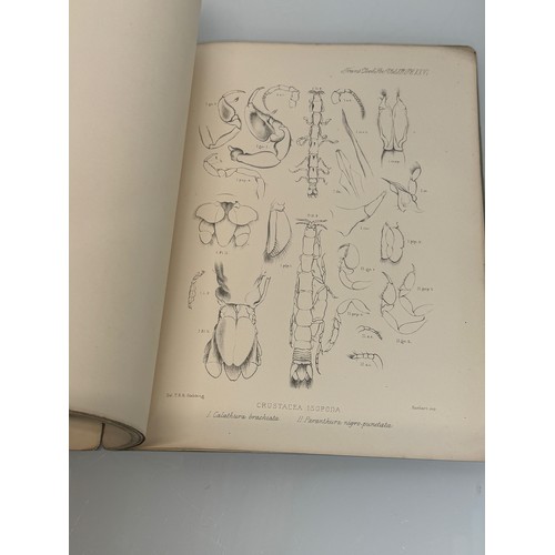 25 - A C19th and a C 20th  illustrated Zoological Studies of Antarctic species.

This lot is available fo... 