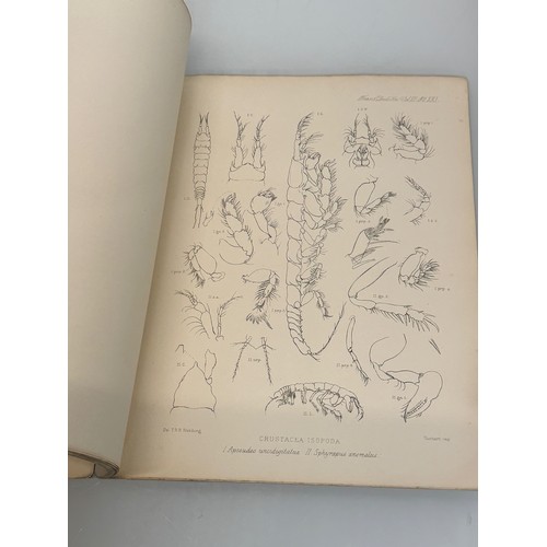 25 - A C19th and a C 20th  illustrated Zoological Studies of Antarctic species.

This lot is available fo... 