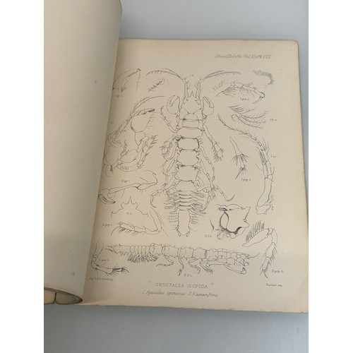 25 - A C19th and a C 20th  illustrated Zoological Studies of Antarctic species.

This lot is available fo... 