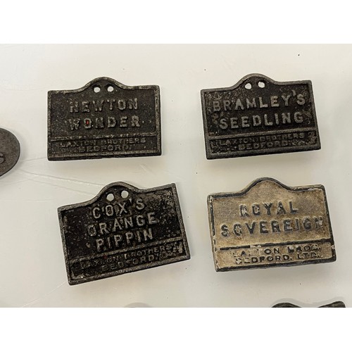 345 - A collection of ten cast metal fruit tree marking plates, American Mother, Victoria, Cox’s orange Pi... 