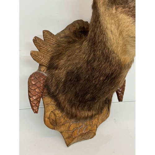 257 - Taxidermy, black forest wear, a mounted Chamois bust, 60 cm tall x 31 cm wide.

This lot is availabl... 