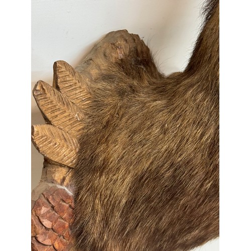 257 - Taxidermy, black forest wear, a mounted Chamois bust, 60 cm tall x 31 cm wide.

This lot is availabl... 