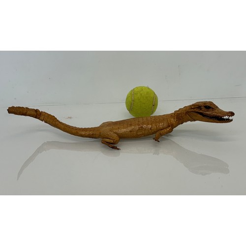 258 - Taxidermy, uncased preserved reptile, an unmounted Caimen, 39 cm long.

This lot is available for in... 