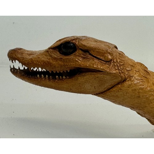 258 - Taxidermy, uncased preserved reptile, an unmounted Caimen, 39 cm long.

This lot is available for in... 