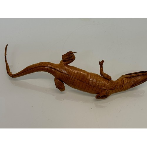 258 - Taxidermy, uncased preserved reptile, an unmounted Caimen, 39 cm long.

This lot is available for in... 