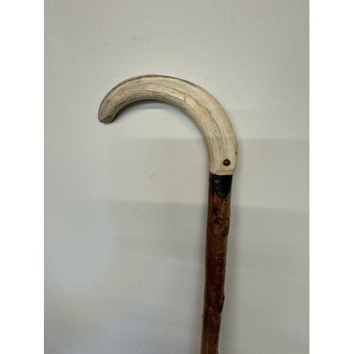 398 - Tall walking stick with a horn handle, 109 cm overall length.

This lot is available for in-house sh... 