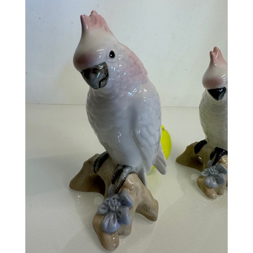 408 - Two Royal Dux porcelain figurines of Cockatoo’s. 18 cm tall.

This lot is available for in-house shi... 