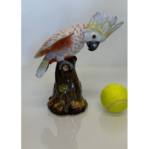 409 - Meissen figurine of a Cockatoo, 23 cm high.

This lot is available for in-house shipping