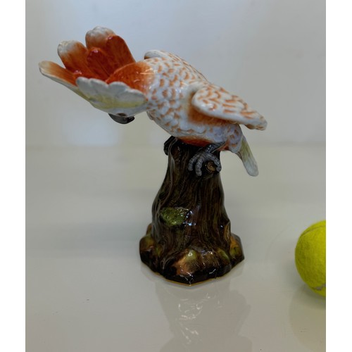 409 - Meissen figurine of a Cockatoo, 23 cm high.

This lot is available for in-house shipping