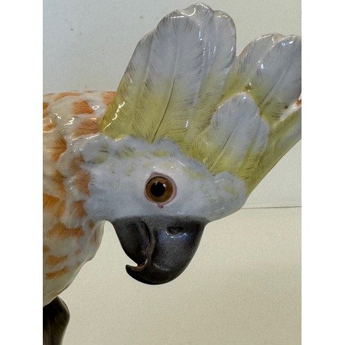 409 - Meissen figurine of a Cockatoo, 23 cm high.

This lot is available for in-house shipping