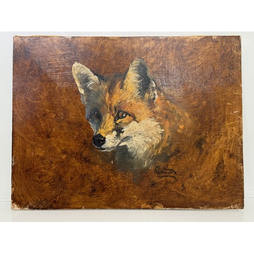 3 - Original Painting , Oil on board study of a fox by equestrian artist Malcom Coward 40 cm x 30 cm.

T... 