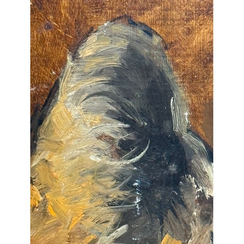 3 - Original Painting , Oil on board study of a fox by equestrian artist Malcom Coward 40 cm x 30 cm.

T... 