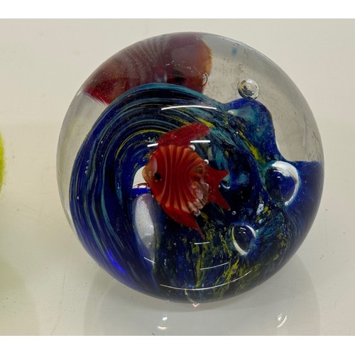 42 - Mid-century designer art glass, Murano,  glass ornamental paper weight tropical fish amongst blue ro... 