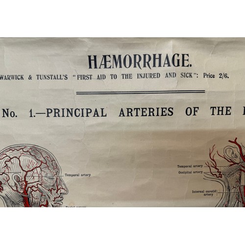 50 - Early C20th linen backed First Aid poster, Principle Arteries of the Body, 101 cm x 66 cm.

This lot... 