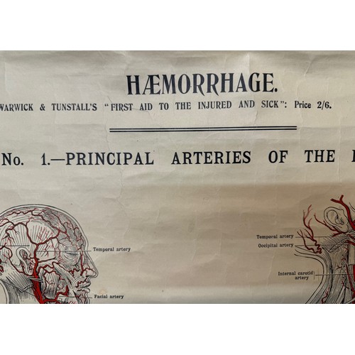 50 - Early C20th linen backed First Aid poster, Principle Arteries of the Body, 101 cm x 66 cm.

This lot... 