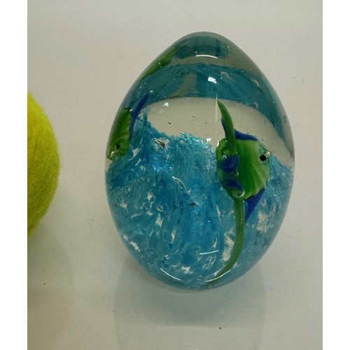 46 - Mid century art glass, an egg shaped Murano glass paperwight with tropical fish over a blue coral. 8... 