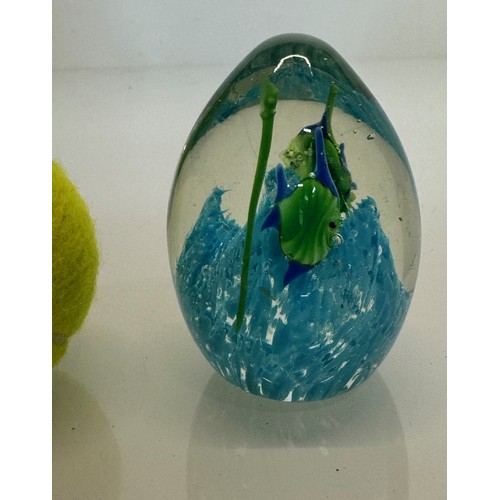 46 - Mid century art glass, an egg shaped Murano glass paperwight with tropical fish over a blue coral. 8... 