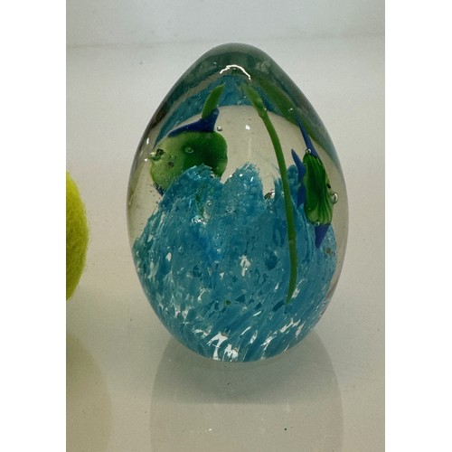 46 - Mid century art glass, an egg shaped Murano glass paperwight with tropical fish over a blue coral. 8... 