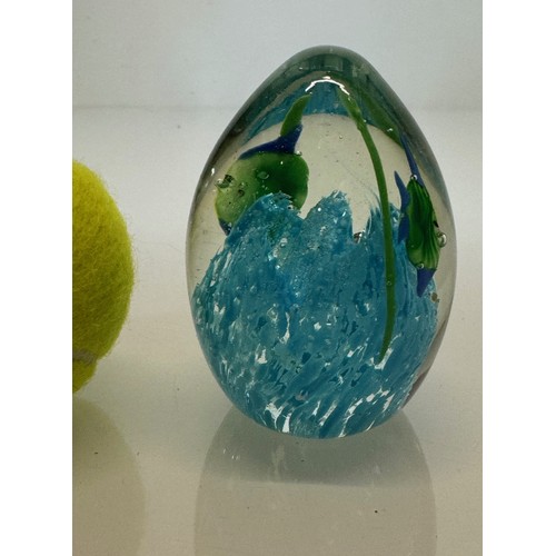 46 - Mid century art glass, an egg shaped Murano glass paperwight with tropical fish over a blue coral. 8... 