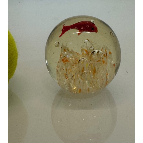 47 - Mid century art glass, a circulaur Murano glass paper weight with a tropical fish theme.  7 cm diame... 