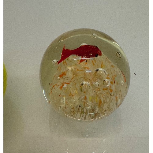 47 - Mid century art glass, a circulaur Murano glass paper weight with a tropical fish theme.  7 cm diame... 