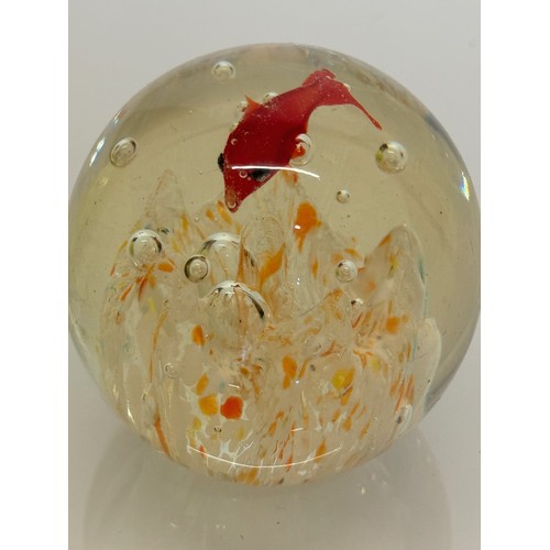 47 - Mid century art glass, a circulaur Murano glass paper weight with a tropical fish theme.  7 cm diame... 