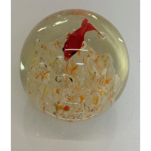 47 - Mid century art glass, a circulaur Murano glass paper weight with a tropical fish theme.  7 cm diame... 