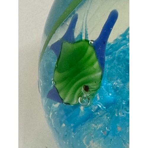 46 - Mid century art glass, an egg shaped Murano glass paperwight with tropical fish over a blue coral. 8... 