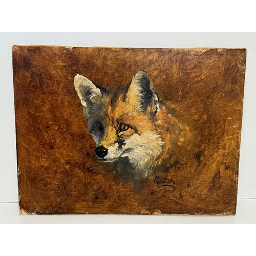 186 - Original Painting , Oil on board study of a fox by equestrian artist Malcom Coward 40 cm x 30 cm.

T... 