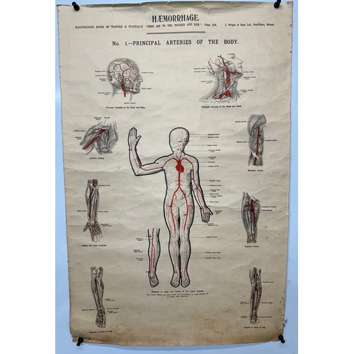 316 - Early C20th linen backed First Aid poster, Principle Arteries of the Body, 101 cm x 66 cm.

This lot... 