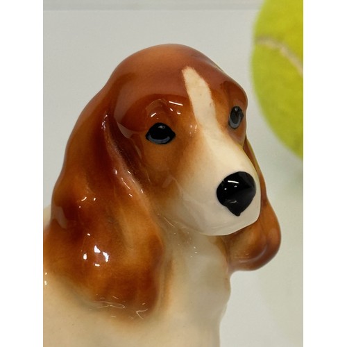 427 - Two ceramic dog figurines, a collie and a spaniel, Beswick?

This lot is available for in-house ship... 