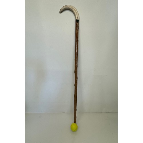 463 - Tall walking stick with a horn handle, 109 cm overall length.

This lot is available for in-house sh... 