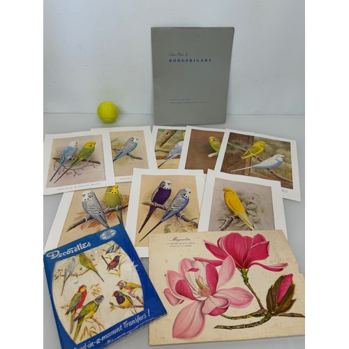 101 - A collection of Budgerigar prints and transfers and other bird and plant themed items.

This lot is ... 