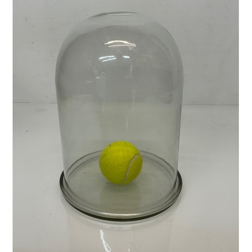 113 - A Glass bell type cover and plate.25 cm x 20 cm diameter.

This lot is available for in-house shippi... 