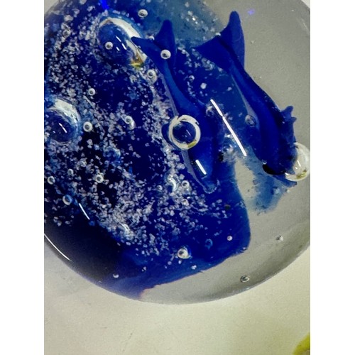 128 - Murano glass paperweight with two blue fish inside.7 cm tall.

This lot is available for in-house sh... 