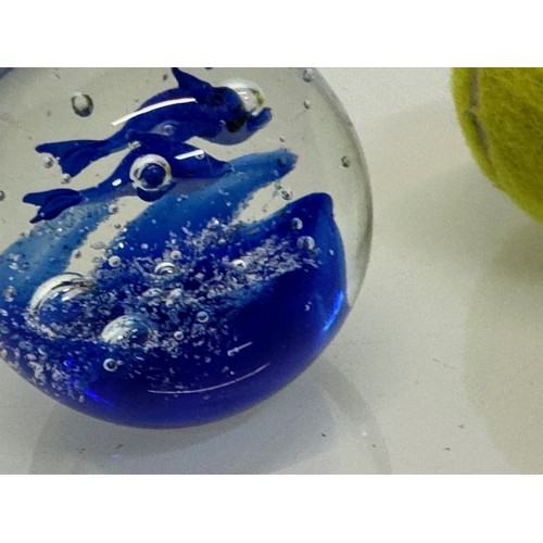 128 - Murano glass paperweight with two blue fish inside.7 cm tall.

This lot is available for in-house sh... 