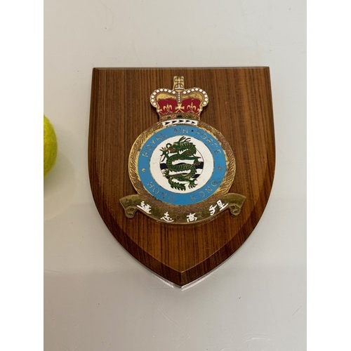 241 - Militaria, RAF Hong Kong Squadron plaque.

This lot is available for in-house shipping