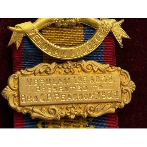 248 - Medals, two grand order of the Buffalos medals in a Fattorini and Sons box.

This lot is available f... 