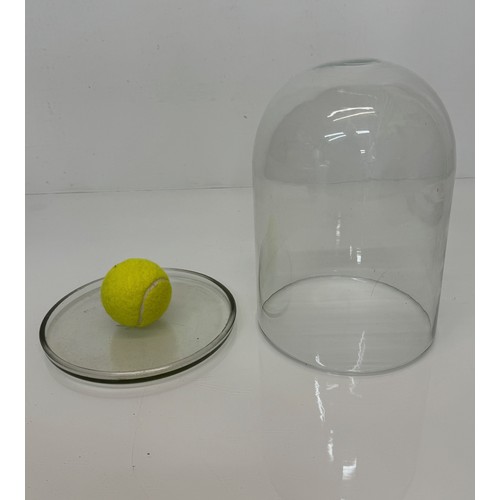 333 - Kitchenalia, a clear Glass bell cover and plate. 25 cm tall x 20 cm diameter.

This lot is available... 