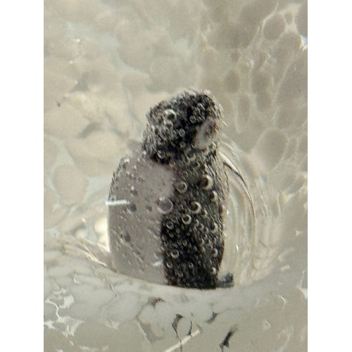 265 - A glass paperweight with two penguins inside against a background of ice cliffs. 10. cm tall.

This ... 