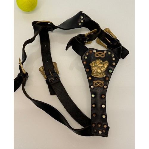 177 - Leather dog harness with brass embellishments and buckles.

This lot is available for in-house shipp... 