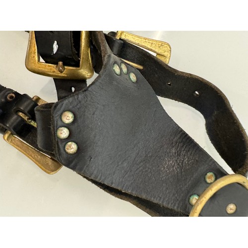 177 - Leather dog harness with brass embellishments and buckles.

This lot is available for in-house shipp... 