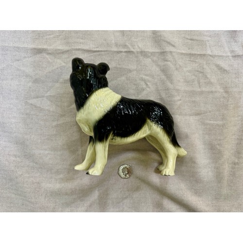 313 - Coopercraft Border Collie Design Ornamental Dog. 

This lot is available for in-house shipping