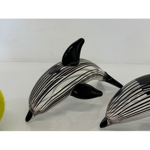 243 - Pair of mid century glass dolphins, each 17 cm long.

This lot is available for in-house shipping