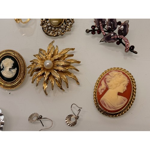 183 - A collection of costume jewellery, cameo broach etc.

This lot is available for in-house shipping