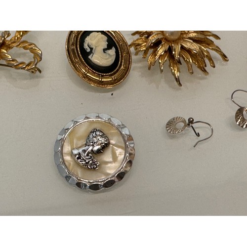 183 - A collection of costume jewellery, cameo broach etc.

This lot is available for in-house shipping