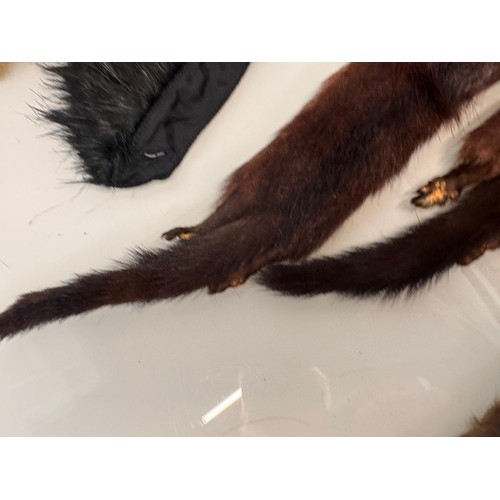 37 - Vintage fashion, four fur stoles.

This lot is available for in-house shipping