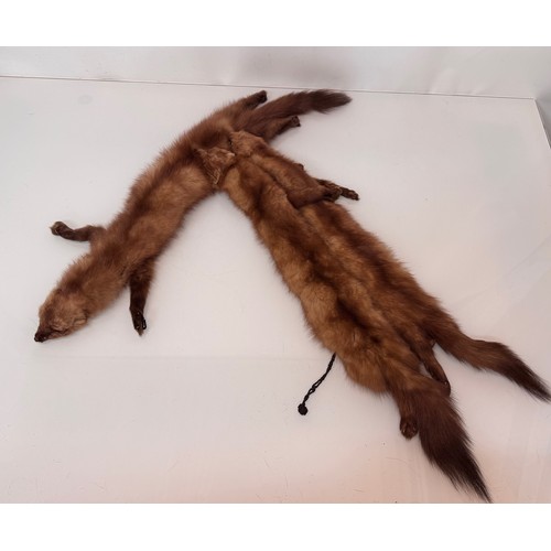 38 - Vintage fashion a fox fur stole.

This lot is available for in-house shipping