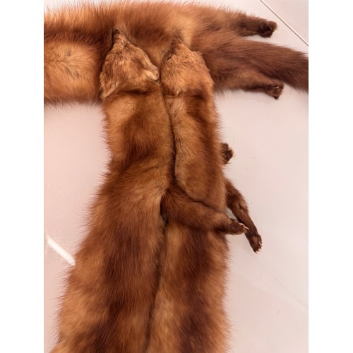 38 - Vintage fashion a fox fur stole.

This lot is available for in-house shipping